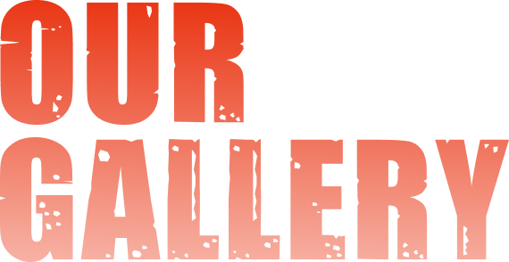 OUR GALLERY